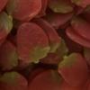 TAOS Giant Strawberries Vegan Gummy Pick & Mix Sweets Kingsway 500g (Strawberry) view 1