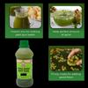Neya Taste Hara Mint Pani (500ml) (Pack of 1) - Refreshing Mint Sauce For Pani Puri, Bhel & Chat view 3