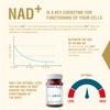 Endotelio 1-MNA PRO, Anti Aging, Optimizing NAD+, Double Dose for Faster Effects, Biohacking Supplement, Sirtuin Activator, Support for Cellular Health, Scientifically Formulated, 30 Easy Swallow Caps view 3