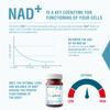 Endotelio Brain 1-MNA, Anti Aging, Optimizing NAD+, Ginkgo Biloba, Zinc, Biotin, Vitamin C and B Complex, Sirtuin Activator, Biohacking Supplement, Memory, Focus, Mood, Bioavailability, 30 Caps view 4