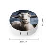 YHEGBFD Spectacle Case,Goat Contact Lens Case,portable Contact Lens Case,contact Lens Box with Mirror view 2
