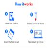 Cortisol Blood Test Kit  Monitor Your Stress Hormone Levels Fast & Easy at Home | Medical Laboratory Analysis | Detailed Report view 4