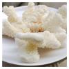 TZNLTPFY Natural Crystal Rough Natural White Coral Cluster Quartz Crystal Reef Home Decor Gift (Size : 50-70g) DINZHHENGYIN(Size:100g) view 2