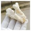 TZNLTPFY Natural Crystal Rough Natural White Coral Cluster Quartz Crystal Reef Home Decor Gift (Size : 50-70g) DINZHHENGYIN(Size:100g) view 4