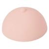 arlote 3D Tattoo Areola Practicing Skin Silicone Breasts Chest Pleural Practice Mould for Beginners Permanent Makeup view 1
