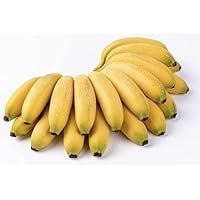 Fresh Apple Banana I Baby Banana I 500G