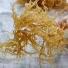 Chinese Sea Moss, Dried and Raw, Sea Vegetable,300g, for Salad or Gel view 3