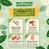 Probiotics Bio Cultures Complex with Prebiotics - 150 Billion CFU 20 Strains - 2 Months Supply 120 Capsules - Lactobacillus & Bifidobacterium Strains | Probiotics for Women & Men Gut Health view 2