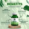 Probiotics Bio Cultures Complex with Prebiotics - 150 Billion CFU 20 Strains - 2 Months Supply 120 Capsules - Lactobacillus & Bifidobacterium Strains | Probiotics for Women & Men Gut Health view 3
