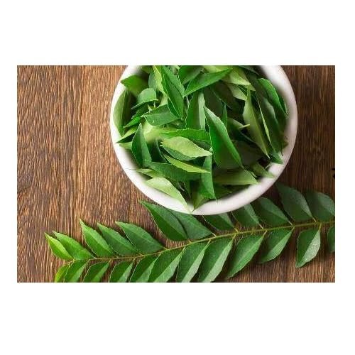 Fresh Curry Leaves I 50G