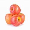 Fresh Royal Gala Apple I 750G view 1