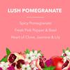 Fabulosa Fragranced Laundry Fabric Softener, Clothes Softener and Freshener, Long Lasting Fragrance, Fabric Care, Perfect Laundry Partner, 198 Washes, 6 Pack, Lush Pomegranate view 2