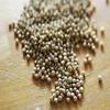 1kg Whole Sorghum Seeds (Juwar Whole) by Masala Cottage view 1
