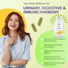 Urinary Flow & Biofilm Support  UT Flow 60 Capsules | D-Mannose, Digestive Enzymes & Botanicals for Urinary Tract, Bladder Wall & Immune Health | Vegan, Non-GMO, UK Made by vh1be view 3