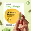 Urinary Flow & Biofilm Support  UT Flow 60 Capsules | D-Mannose, Digestive Enzymes & Botanicals for Urinary Tract, Bladder Wall & Immune Health | Vegan, Non-GMO, UK Made by vh1be view 4