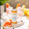 Double Dutch Indian Tonic Water, 6 x 150ml view 2