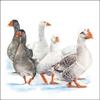 20 Napkins Winter Geese in Winter as Table Decoration Paper Napkins with Motif Also for Decoupage and Decoupage 33 x 33 cm view 1