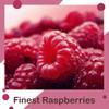 Scottish Raspberry and Sultana Oat Bite - 35g bars, Confectious Bakery branded - 9 pack (Raspberry/Sultana), High Fibre, No Artificial Colours or Flavours or Preservatives view 4