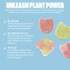 Candy Kittens Vegan Sweets Mini Luxe Selection  Plant-Based Vegan Treats with Fruity Flavour, No Nasties, Made with Real Fruit Juice  Ideal Snacks for Sweet Hampers & Pick and Mix  140g Pack of 3 view 4