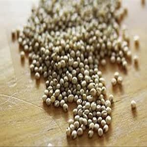 500g Whole Sorghum Seeds (Juwar Whole) by Masala Cottage