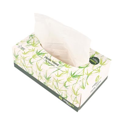 EVERGREEN BAMBOO Facial Tissue  1 Box, 100 Sheets  3-Ply Soft Tissues  Eco-Friendly, Plastic-Free, Bamboo Paper  Sustainable & Biodegradable