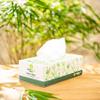 EVERGREEN BAMBOO Facial Tissue  1 Box, 100 Sheets  3-Ply Soft Tissues  Eco-Friendly, Plastic-Free, Bamboo Paper  Sustainable & Biodegradable view 3