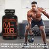 Optimised Research Labs Phosphatidic Acid M-TOR Pathway, Increase Protein Synthesis Boost Muscle Growth, Muscle Builder, Suitable for Vegans, 750mg per Day, 90 High Strength Capsules view 3