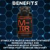 Optimised Research Labs Phosphatidic Acid M-TOR Pathway, Increase Protein Synthesis Boost Muscle Growth, Muscle Builder, Suitable for Vegans, 750mg per Day, 90 High Strength Capsules view 4