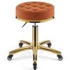 360 Rolling Rotation Salon Stool,Round Leather Cushion Beauty Chair 330 Lbs Load Heavy Hydraulic Stool,Lifting Wheel And Gold Stainless Steel Base,for Spa Work Office Massage Nail(Color:Orange) view 1