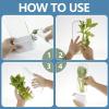 Herb Storage Saver, Herb Keeper for Refrigerator, Herb Saver Pod, Cilantro Containers, Fresh Herb Keeper for Cilantro, Parsley, Asparagus, for Vegetables Asparagus Coriander Mint Cilantro (1ps) view 2