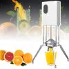 Electric Citrus Juice Extractor Peel Separated Design, Manual Juicer Commercial Citrus Juicer 1001mL-1500mL 50 x 30 x 30 cm view 1