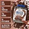 Applied Nutrition Critical Mass Professional - Weight Gain Protein Powder, High Calorie Weight Gainer, Lean Mass (2.4kg - 16 Servings) (Chocolate) view 2