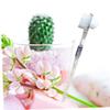 Beaupretty 2pcs Brush False Teeth Cleaning Brush Double-Sided Toothbrush for Dentures and Retainers Gentle Bristles view 4
