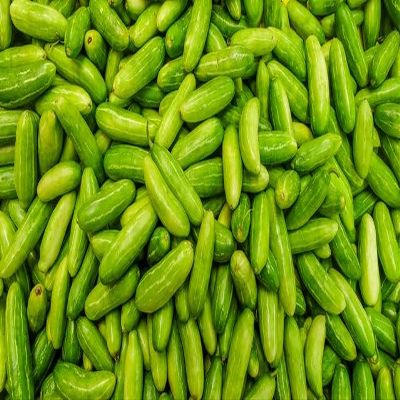 Fresh Green Tindori I Ivy Gourd I 1KG
