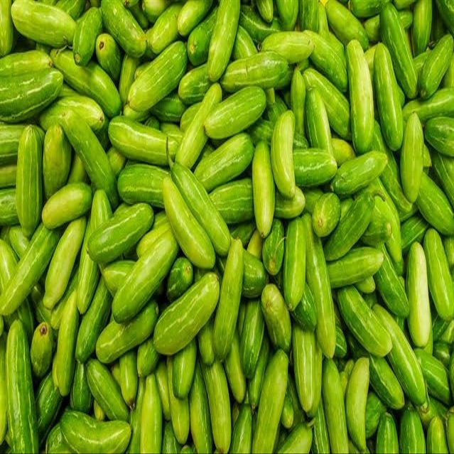 Fresh Green Tindori I Ivy Gourd I 1KG