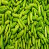 Fresh Green Tindori I Ivy Gourd I 1KG view 1