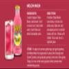 Calypso Lemonade | Island-Inspired Flavors with Real Lemon | (Pack of 12, Tripple Melon Lemonade) view 3