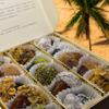 Nuwa Luxury Chocolate Dates - Organic Longevity (Medium - 15pcs) Handmade in Riyadh - Assorted Half Coated Filled with Milk/Dark Luxurious Belgian Chocolate Covered Treats - Mejdoul Ajwa Sukkari (M) view 2