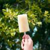 GroveEss 40PCS Clear Acrylic Popsicle Sticks,Reusable Acrylic Cakesicle Sticks,Mirror Ice Cream Sticks Ice Lolly Stick DIY Craft Accessories for Homemade Ice Cream Cakes Desserts Party Favors view 3