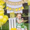 Burlap For Lemonade Banner for For Lemonade Stand, Vibrant Party Decor (LEMONADE) view 2