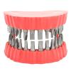 Denture Drill Bit Holder 3D Sculpture Desk Decor 2 in 1 Screwdriver & Desk Gadget with 28PCS Bits Red (Metal+Plastic) view 4