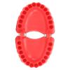 Denture Drill Bit Holder 3D Sculpture Desk Decor 2 in 1 Screwdriver & Desk Gadget with 28PCS Bits Red (Metal+Plastic 2) view 2