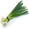 Spring Onion (2 Bunch) view 1