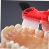 Beaupretty 9pcs Denture Brush Toothbrush Mini Double-Head Small Multi Functional Portable Cleaning Tool for Home Oral Care Practical Double-Side Bristle Brush for Teeth Cleaning view 3