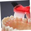Beaupretty 12pcs Multi-Functional Denture Cleaner Portable Cleaning Double-Side Brush for Home Oral Care and Small Household Use view 4