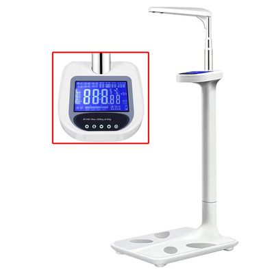 Ultrasonic Height & Weight Analyzer, Body Composition - 441 Ib (200 kg)