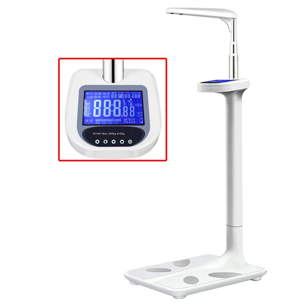 Ultrasonic Height & Weight Analyzer, Body Composition - 441 Ib (200 kg)