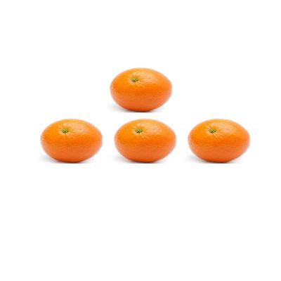Large Oranges I Pack of 4