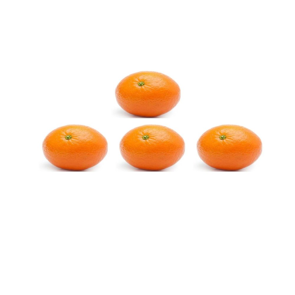 Large Oranges I Pack of 4