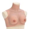 vidaXL Silicone Breastplate, Breast Form for Transgender Drag Queen Cosplay Mastectomy, High Collar Fake Boobs, Fake Breast, Natural B Cup view 1